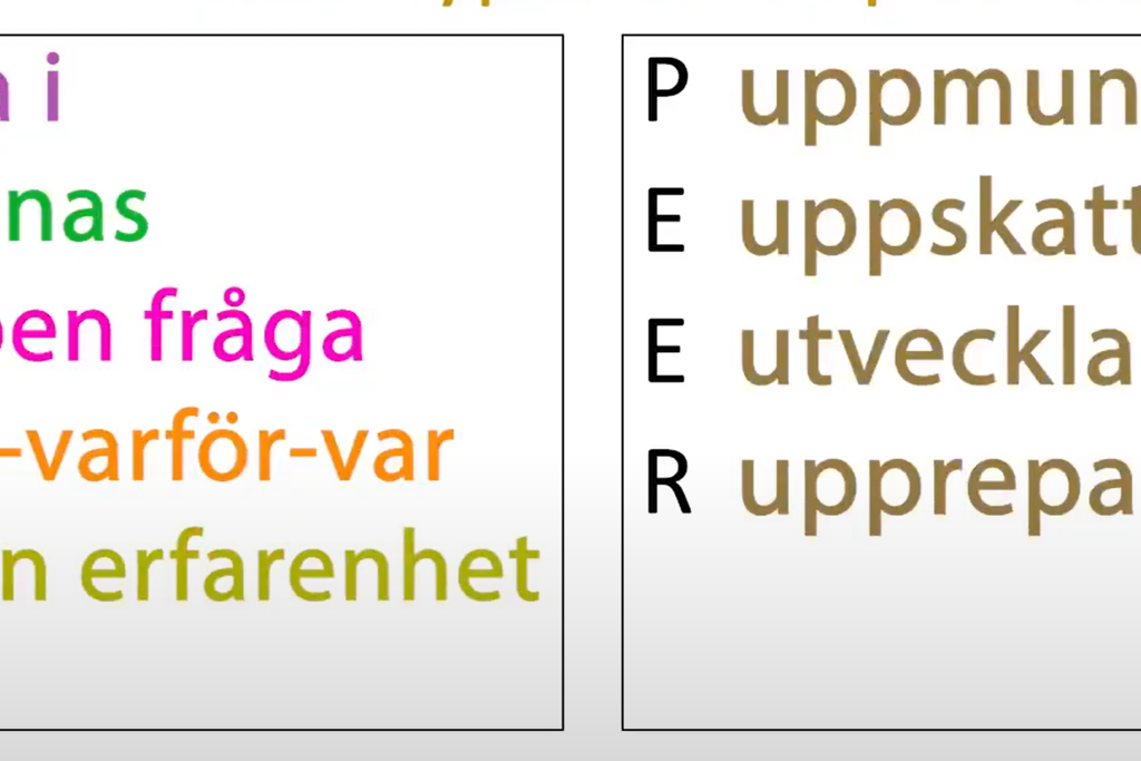 Skärmdump från en av filmerna med en powerpointbild som illustrerar en av metoderna som används.